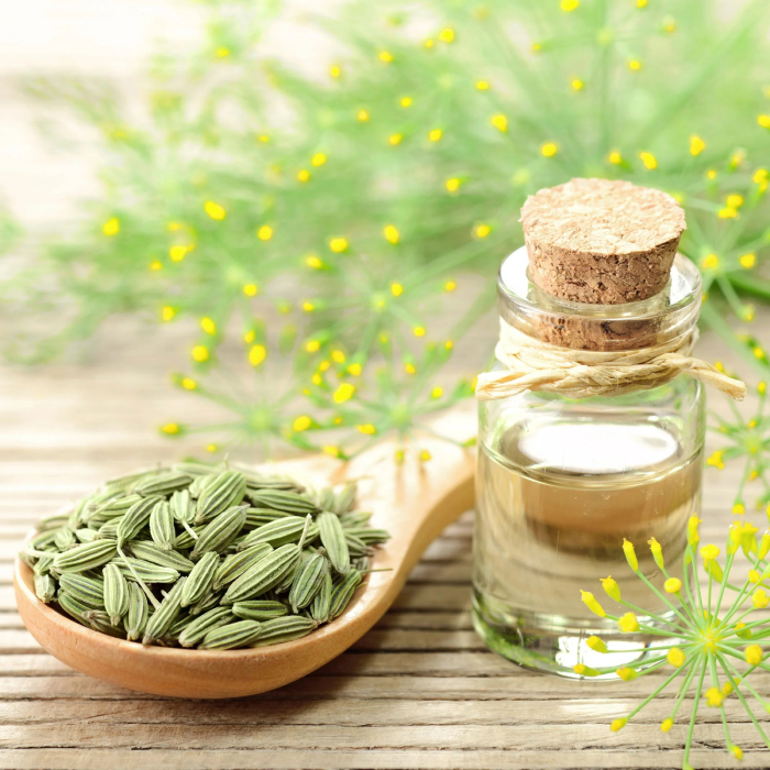 Fennel Oil