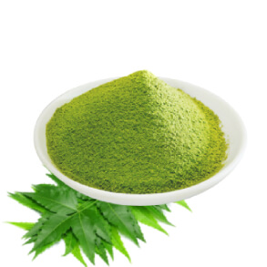 Neem leaf powder